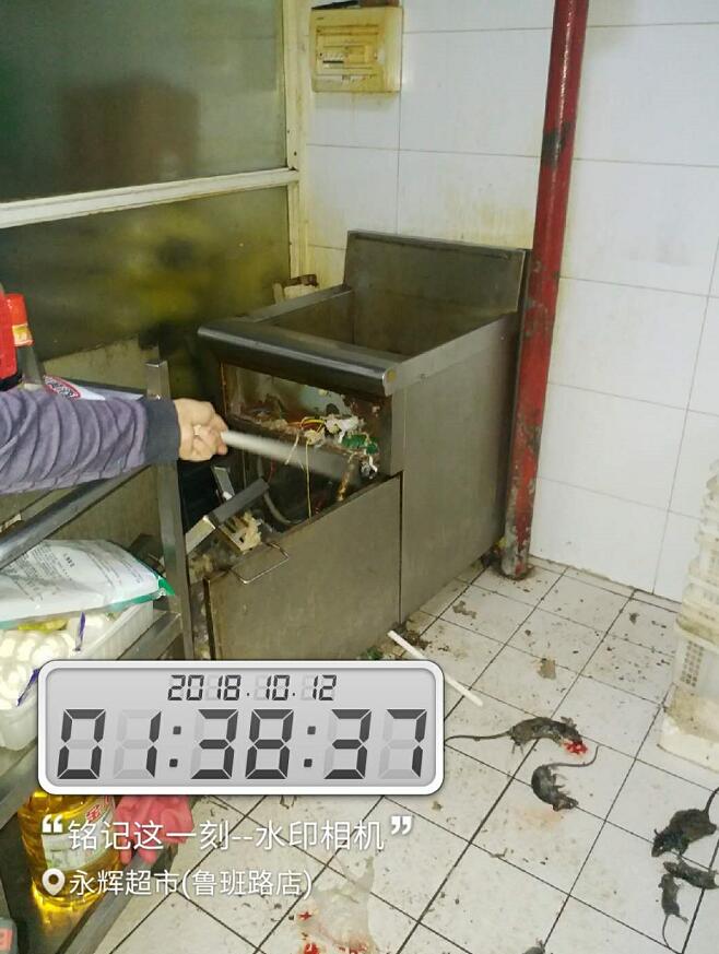 滅鼠案例
